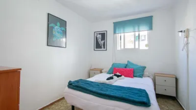Apartment in San Pablo photo 10