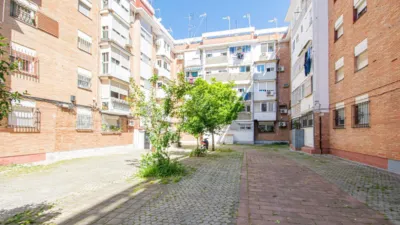 Apartment in San Pablo photo 19