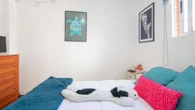 Apartment in San Pablo photo 8