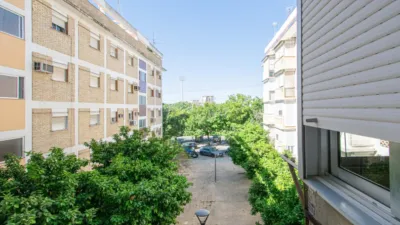 Apartment in San Pablo photo 10