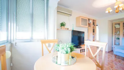 Apartment in San Pablo photo 6