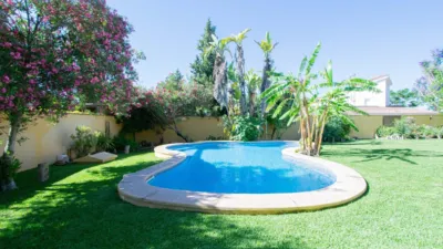 Chalet in Las Pilas photo 10