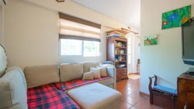 Chalet in Las Pilas photo 46