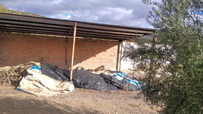 Rustic farm in Benalúa de Las Villas photo 21