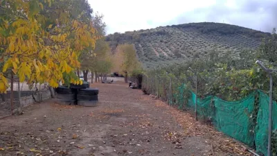 Rustic farm in Benalúa de Las Villas photo 3