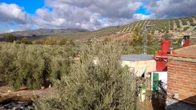 Rustic farm in Benalúa de Las Villas photo 9