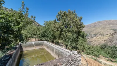 Rustic Finca in Güejar Sierra photo 19