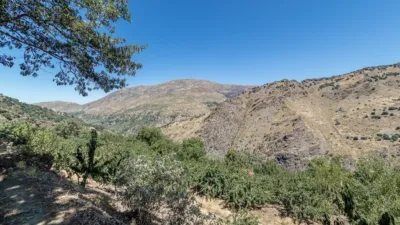 Rustic Finca in Güejar Sierra photo 25