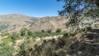 Rustic Finca in Güejar Sierra photo 26