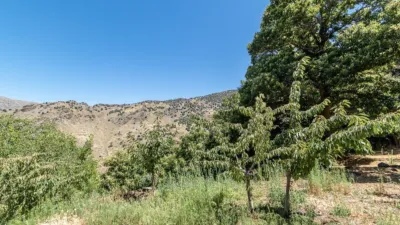 Rustic Finca in Güejar Sierra photo 27