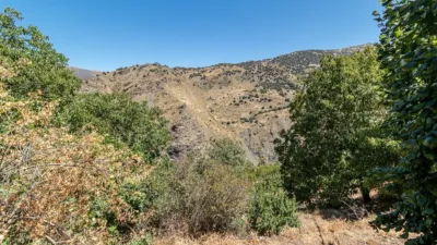 Rustic Finca in Güejar Sierra photo 28