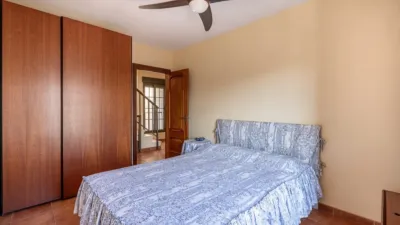 House on Calle de Miramar photo 20