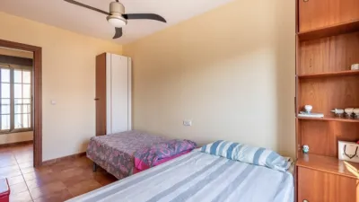 House on Calle de Miramar photo 23