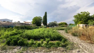 Casa en Pedro Ruiz photo 14