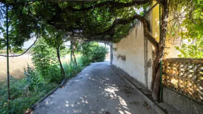 House in Pedro Ruiz photo 4