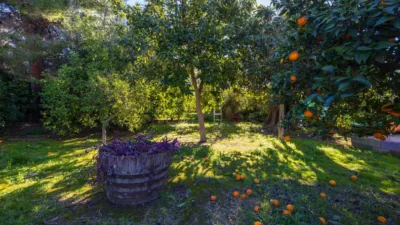Chalet in South Of Spain photo 56