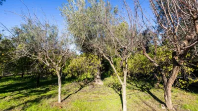 Chalet in South Of Spain photo 59