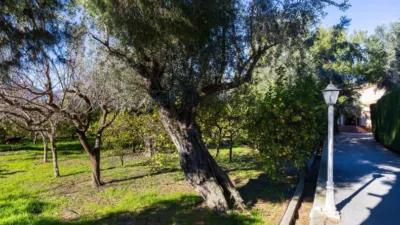 Chalet in South Of Spain photo 60