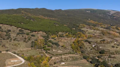 Finca rústica en Pitres photo 45