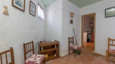 House in the Center photo 10