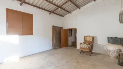 House in the Center photo 15