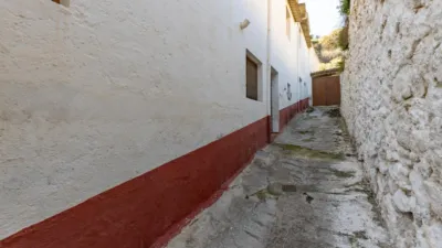 House in the Center photo 5