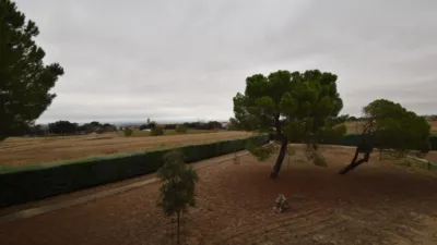 Chalet in Fuente El Saz de Jarama photo 37