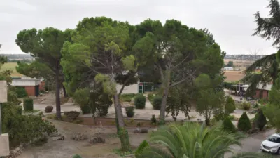 Chalet in Fuente El Saz de Jarama photo 40