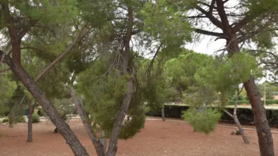 Chalet in Fuente El Saz de Jarama photo 51
