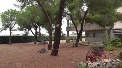 Chalet in Fuente El Saz de Jarama photo 53