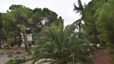 Chalet in Fuente El Saz de Jarama photo 54