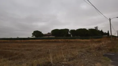 Chalet in Fuente El Saz de Jarama photo 55