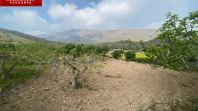 Rustic Finca in Las Palas photo 14