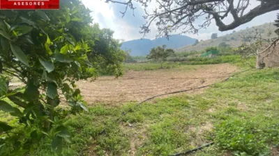 Rustic Finca in Las Palas photo 22