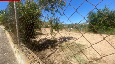 Rustic Finca in Isla Plana-Los Puertos photo 25