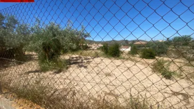Rustic Finca in Isla Plana-Los Puertos photo 26