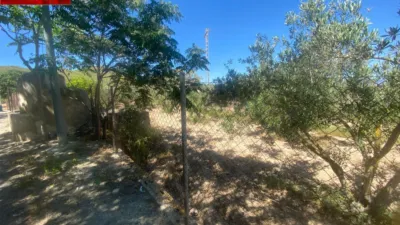 Rustic Finca in Isla Plana-Los Puertos photo 29