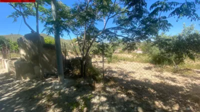 Rustic Finca in Isla Plana-Los Puertos photo 30