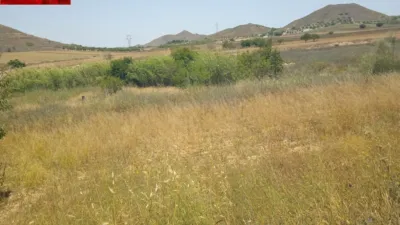 Rustic finca in Tallante photo 11