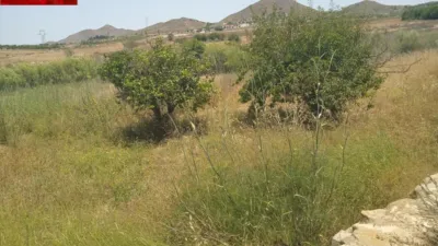 Rustic finca in Tallante photo 12