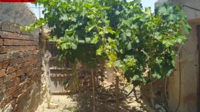 Rustic finca in Tallante photo 6