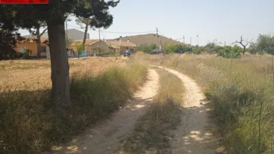 Rustic finca in Tallante photo 7