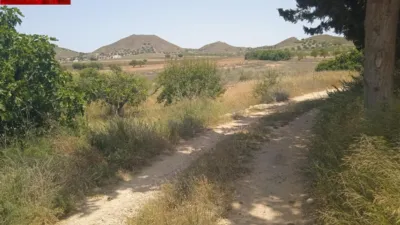 Rustic finca in Tallante photo 8