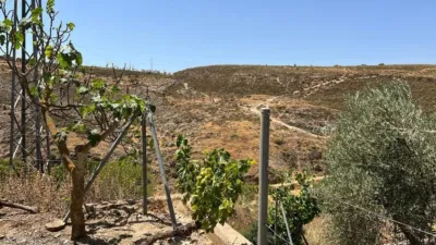 Rustic farm in Cozvíjar photo 14