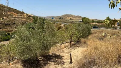Rustic farm in Cozvíjar photo 8