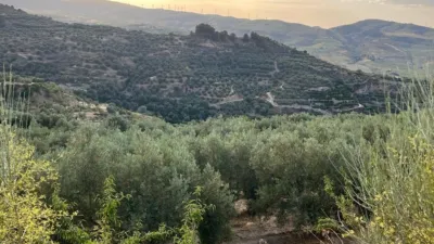 Rustic farm in Restabal photo 4