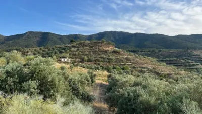Rustic farm in Restabal photo 5