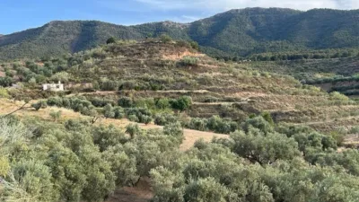 Rustic farm in Restabal photo 6