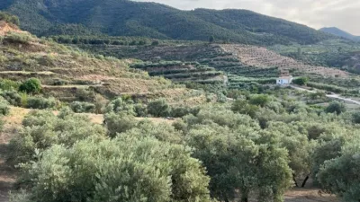 Rustic farm in Restabal photo 7