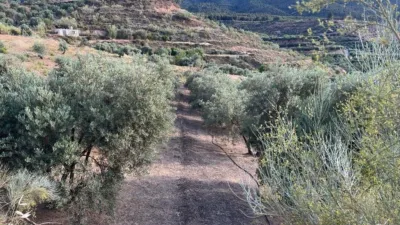 Rustic farm in Restabal photo 8